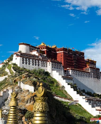 Activity Gal 2 Title activity gal 2 alt