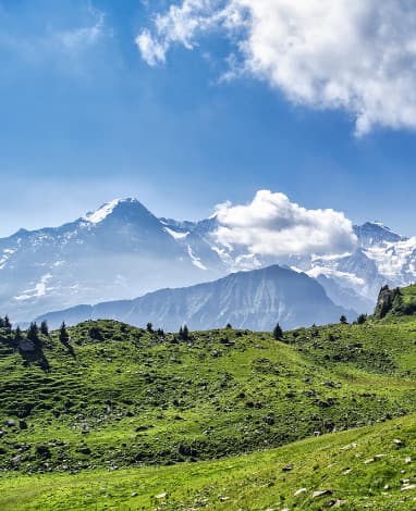 India Side Title 3 india side alt 3